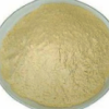 Bismuth Subgallate Suppliers Manufacturers